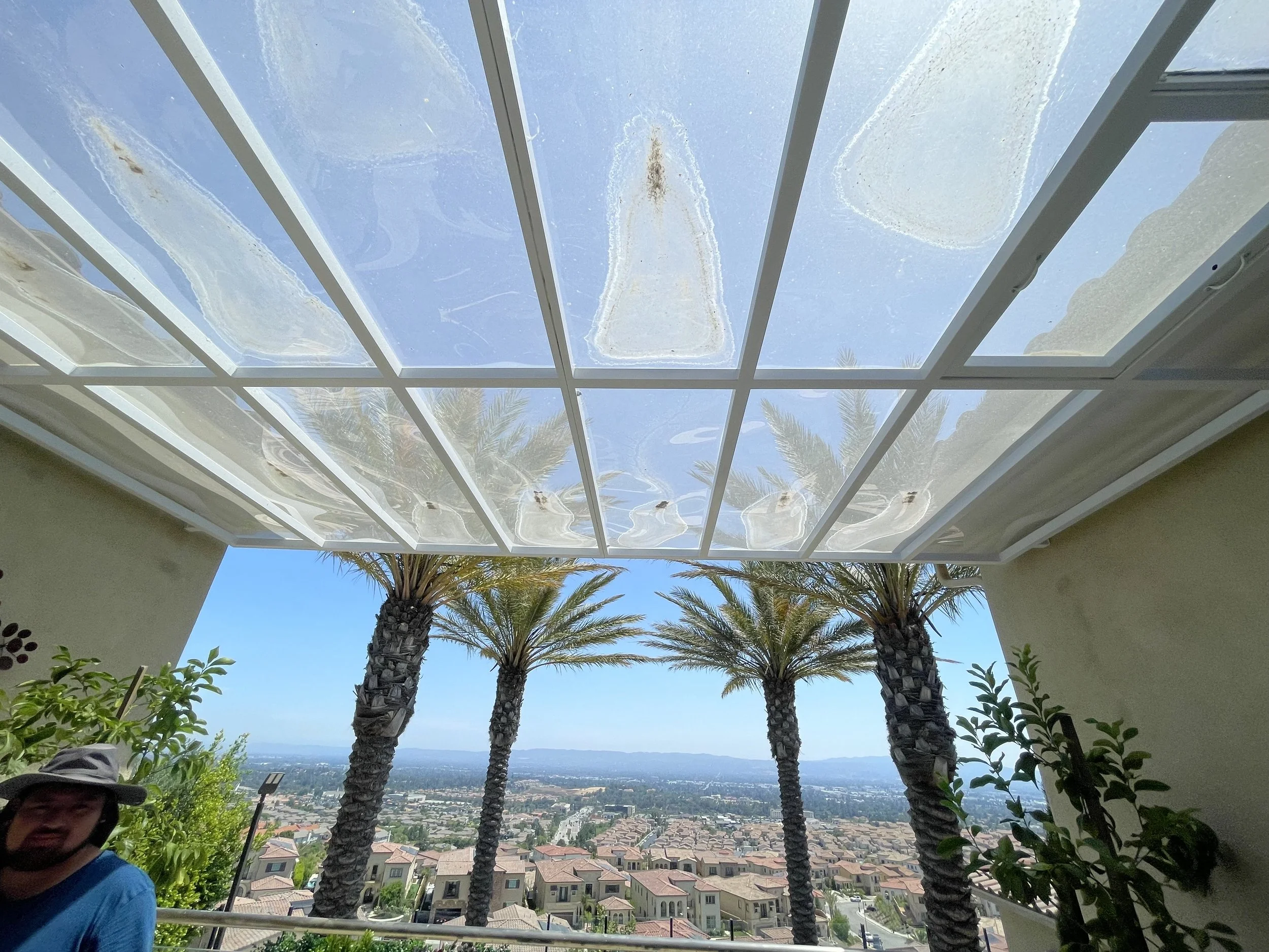 A scenic view of a city landscape featuring a row of tall palm trees, rooftops of houses, and a clear blue sky, seen through white window panes with some dirt or marks on the glass.