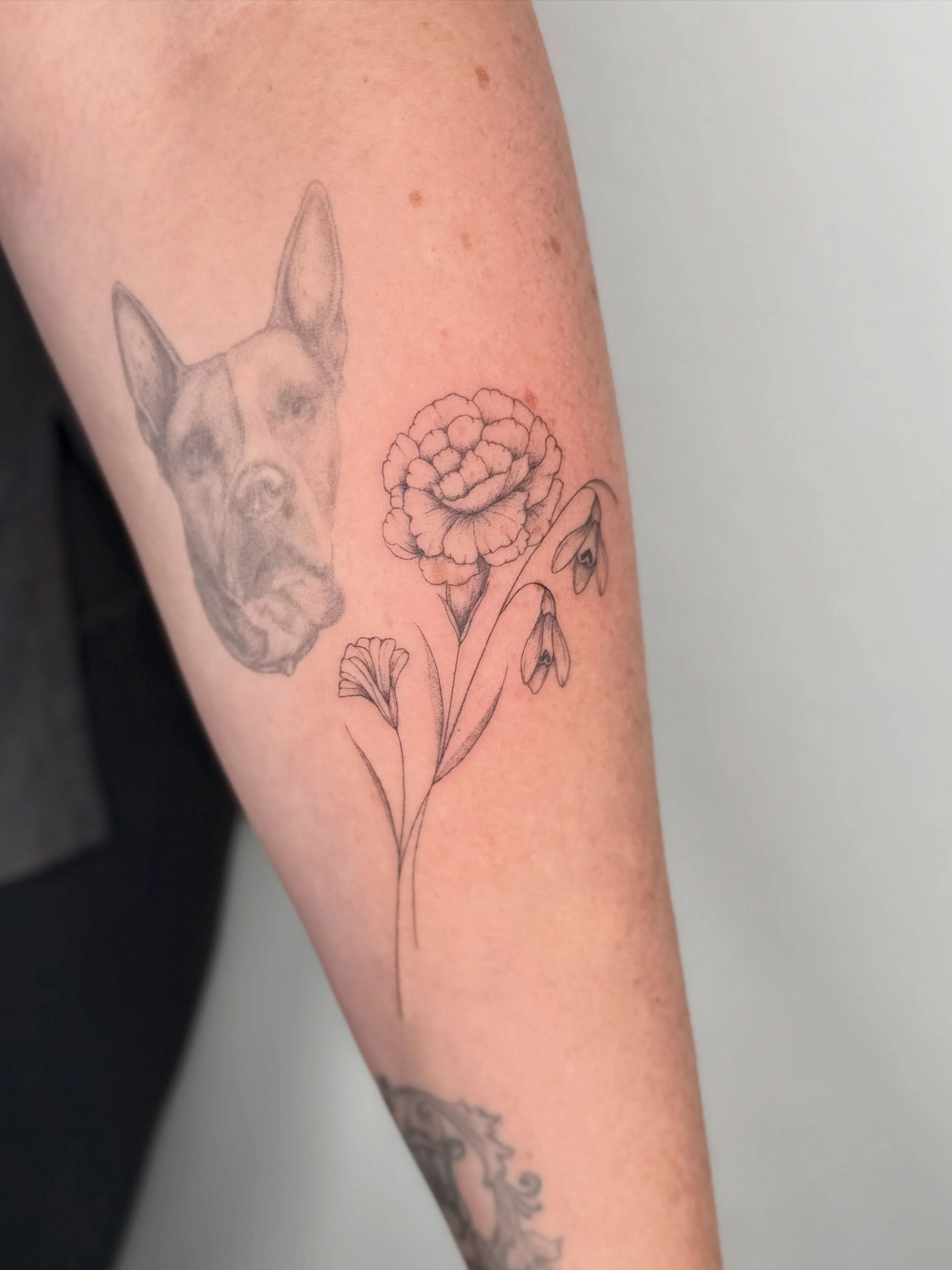 The perfect little addition 🌱 

.
.
.
.
#orangecountytattooartist #privatestudio #femaletattoo #flowertattoo #finelinetattoos