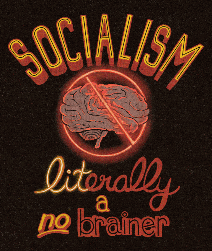 socialism-is-literally-a-no-brainer.gif