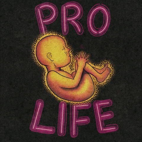 pro life pro choice.gif