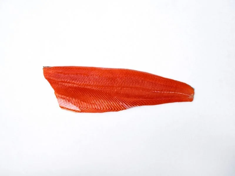 BBSS_Size_4_Fillet_4-800x600.jpg