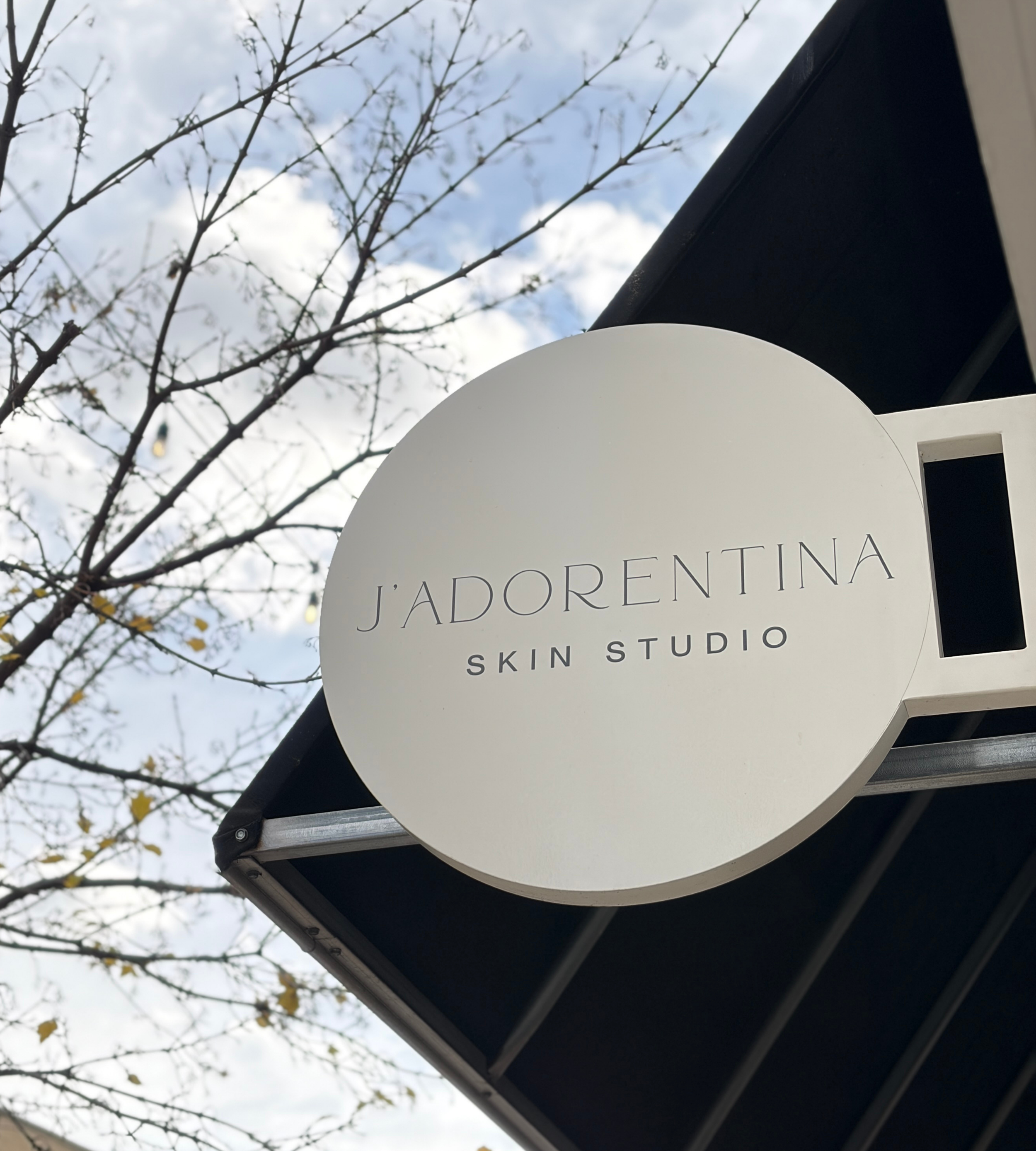 Wild Powerful Brand Design Jadorentina Skin Studio.png