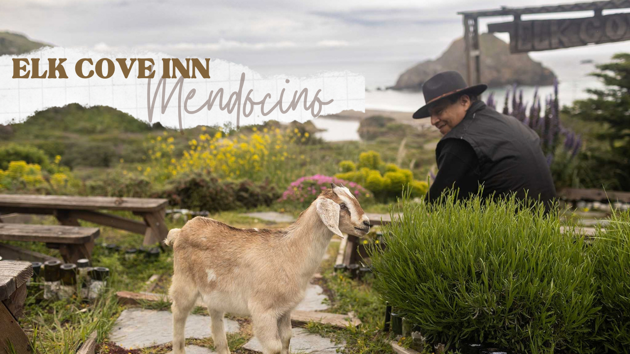 Elk Cove Inn.png