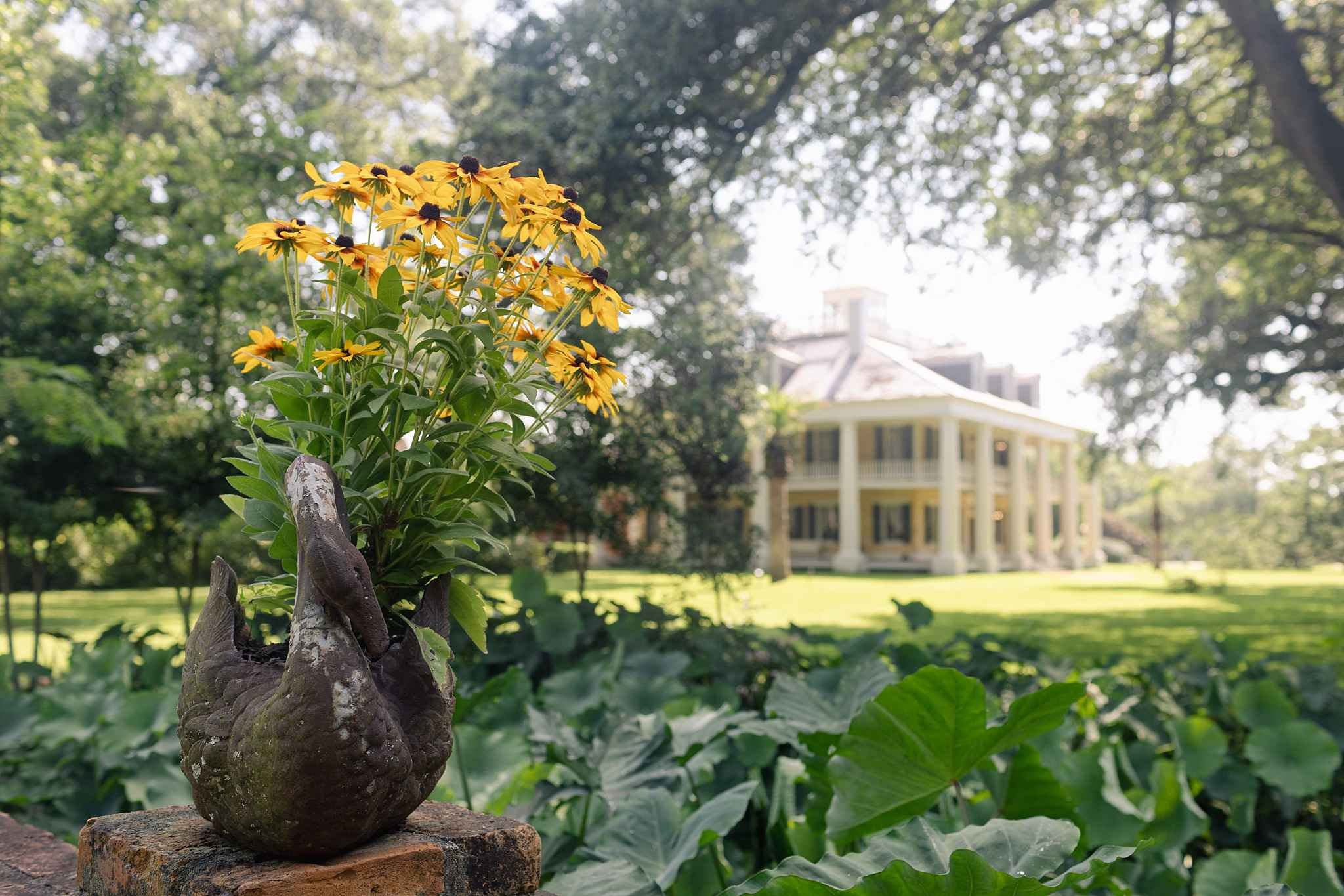 Houmas House Mansion and Gardens | Ascension Parish Louisiana