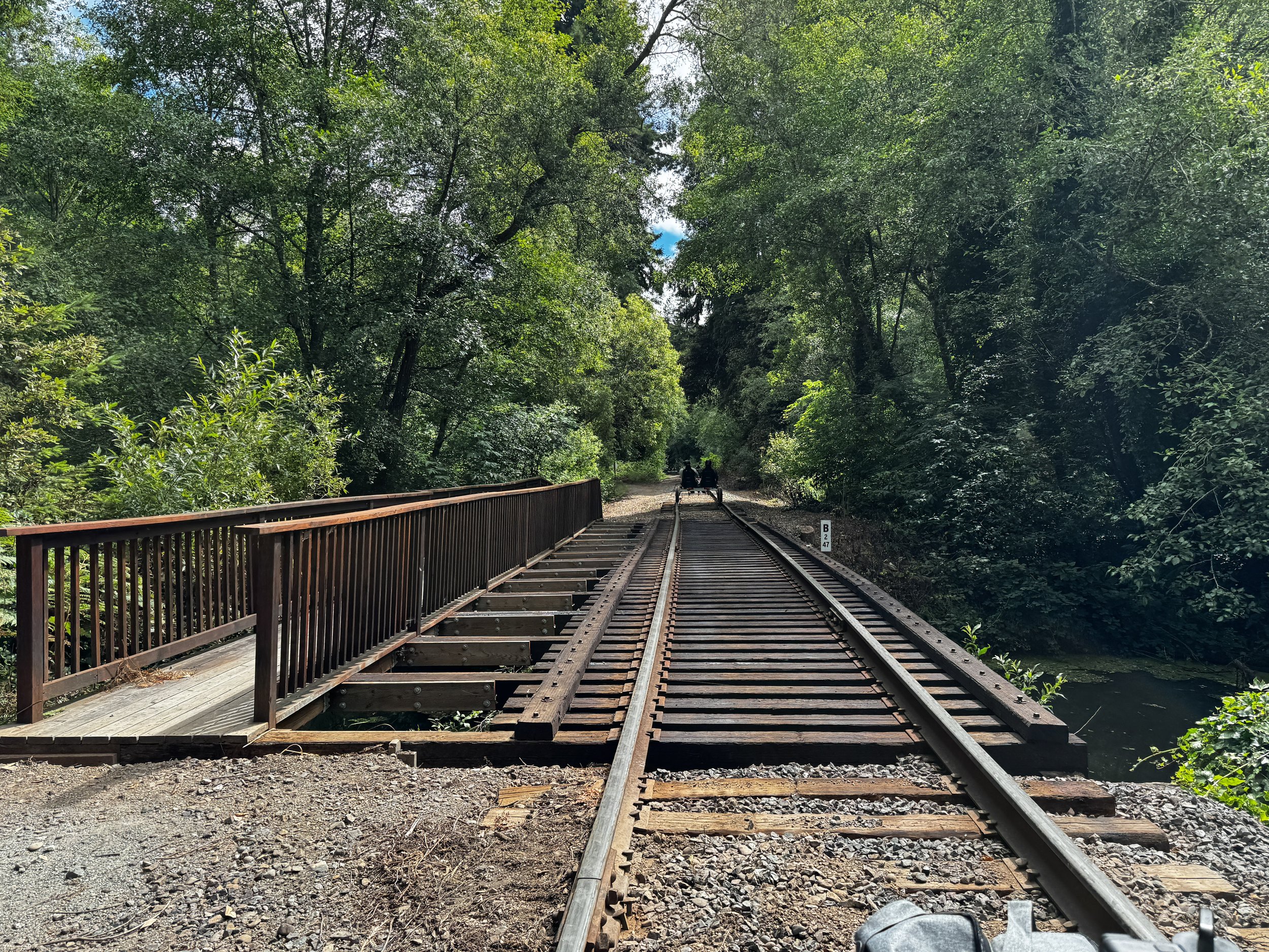 Ride the Rail | Skunk Train Railbikes