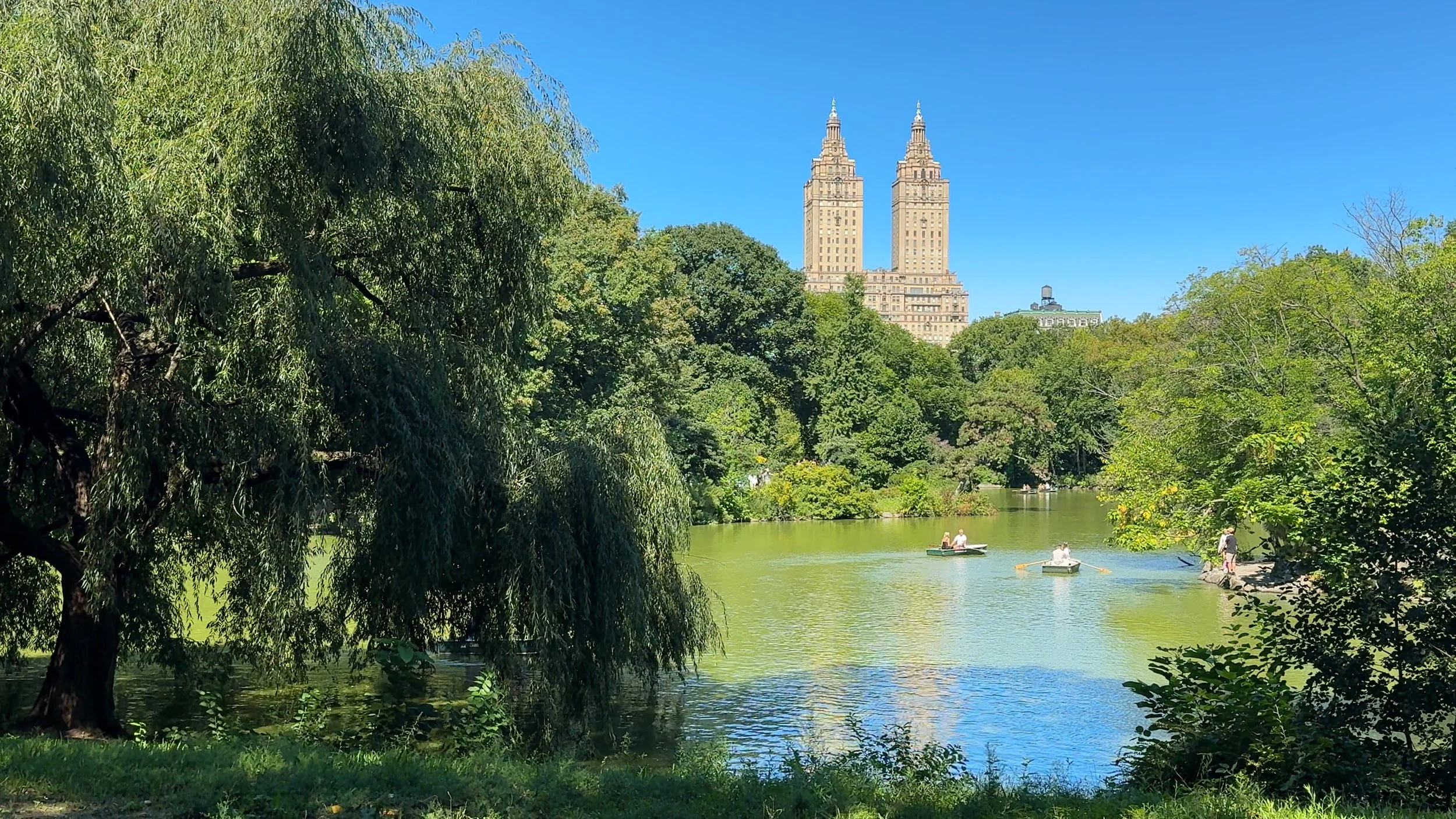 What to Do in Central Park | New York City