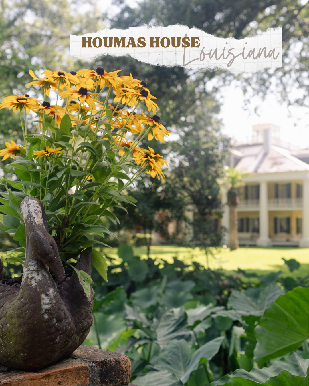 houmas house.png