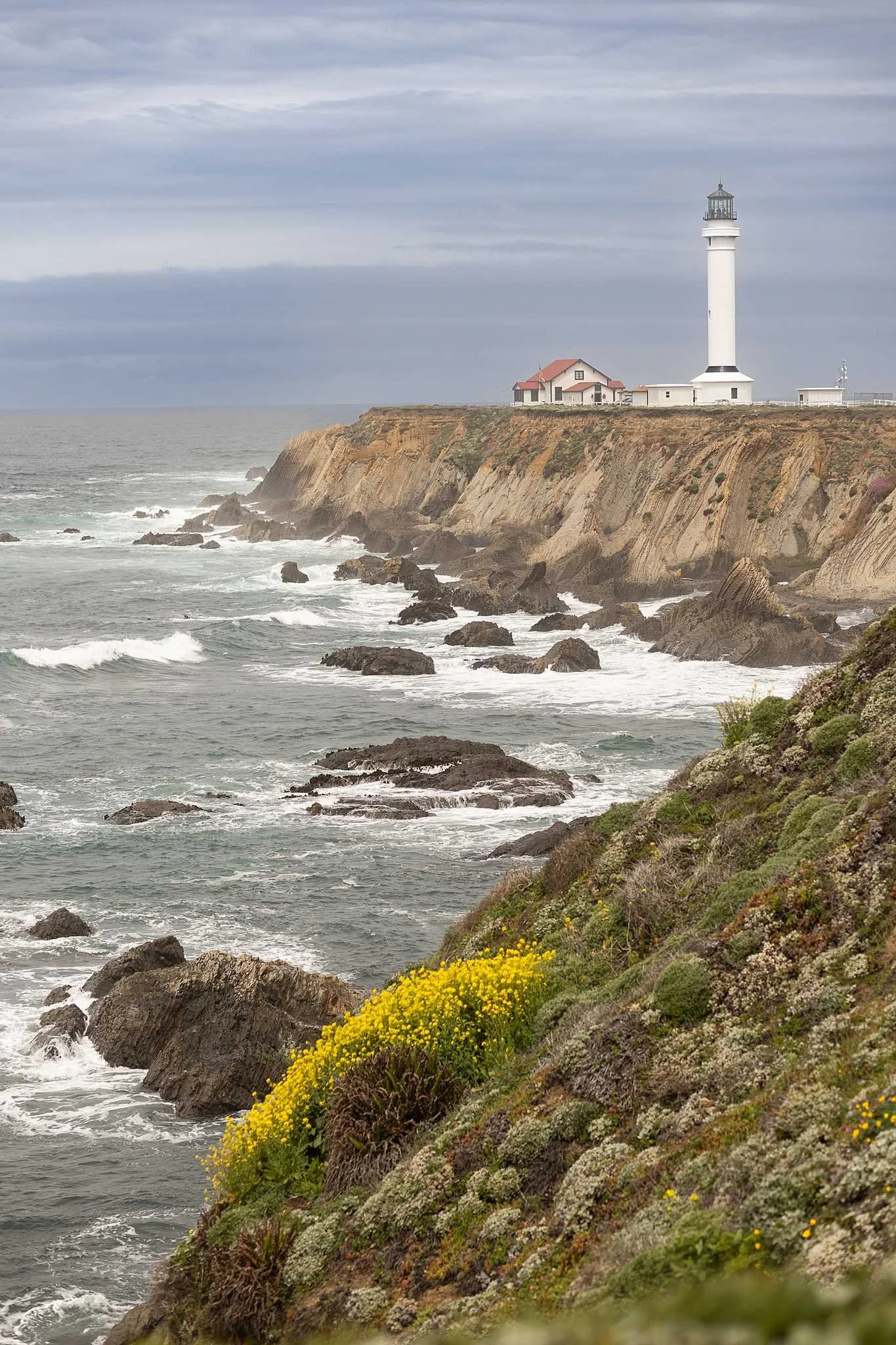 Mendocino County Elk California_0008.jpg