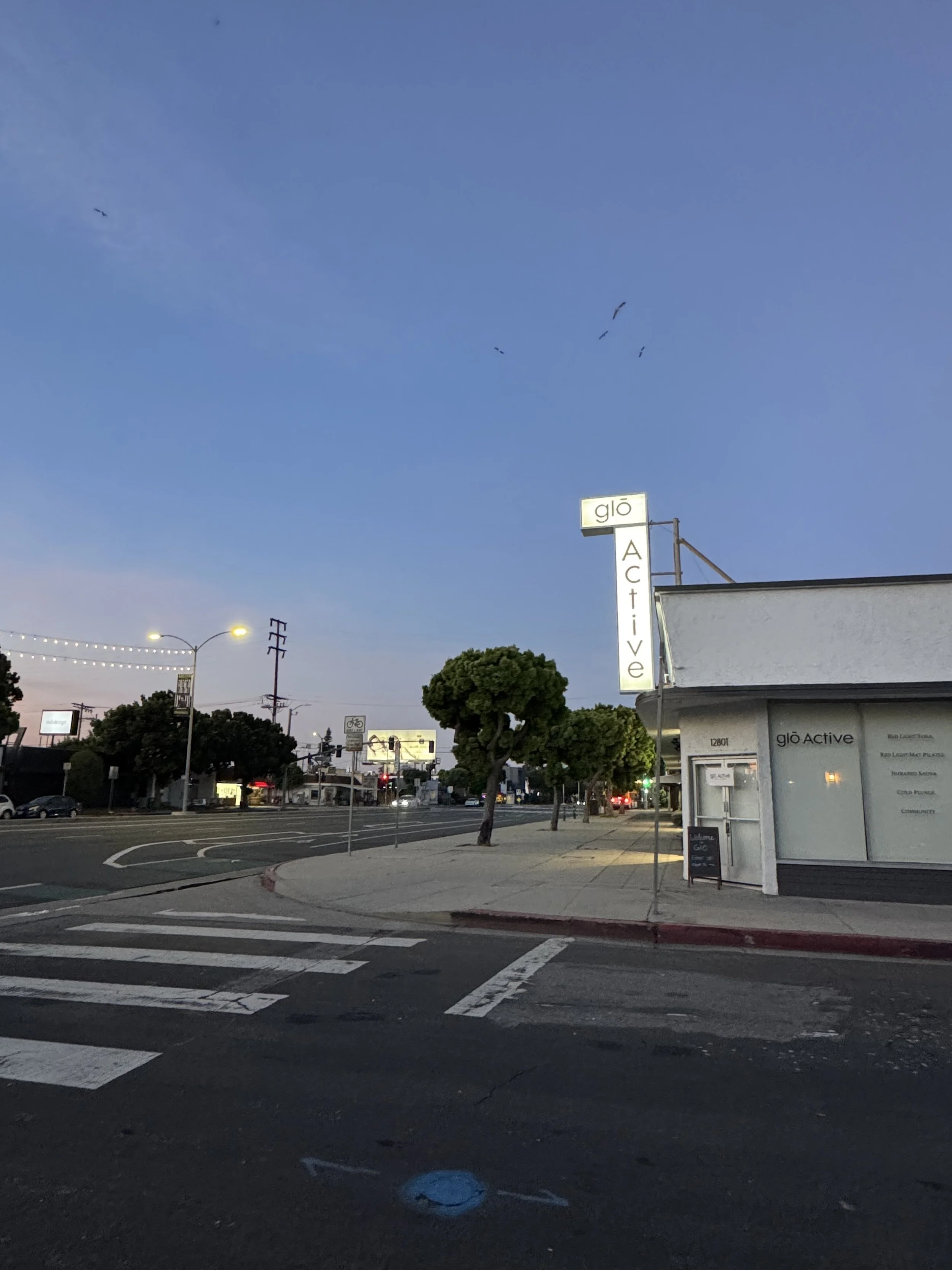 Street scene during dusk with trees, streetlights, and a building with a sign labeled 'glo Active.'