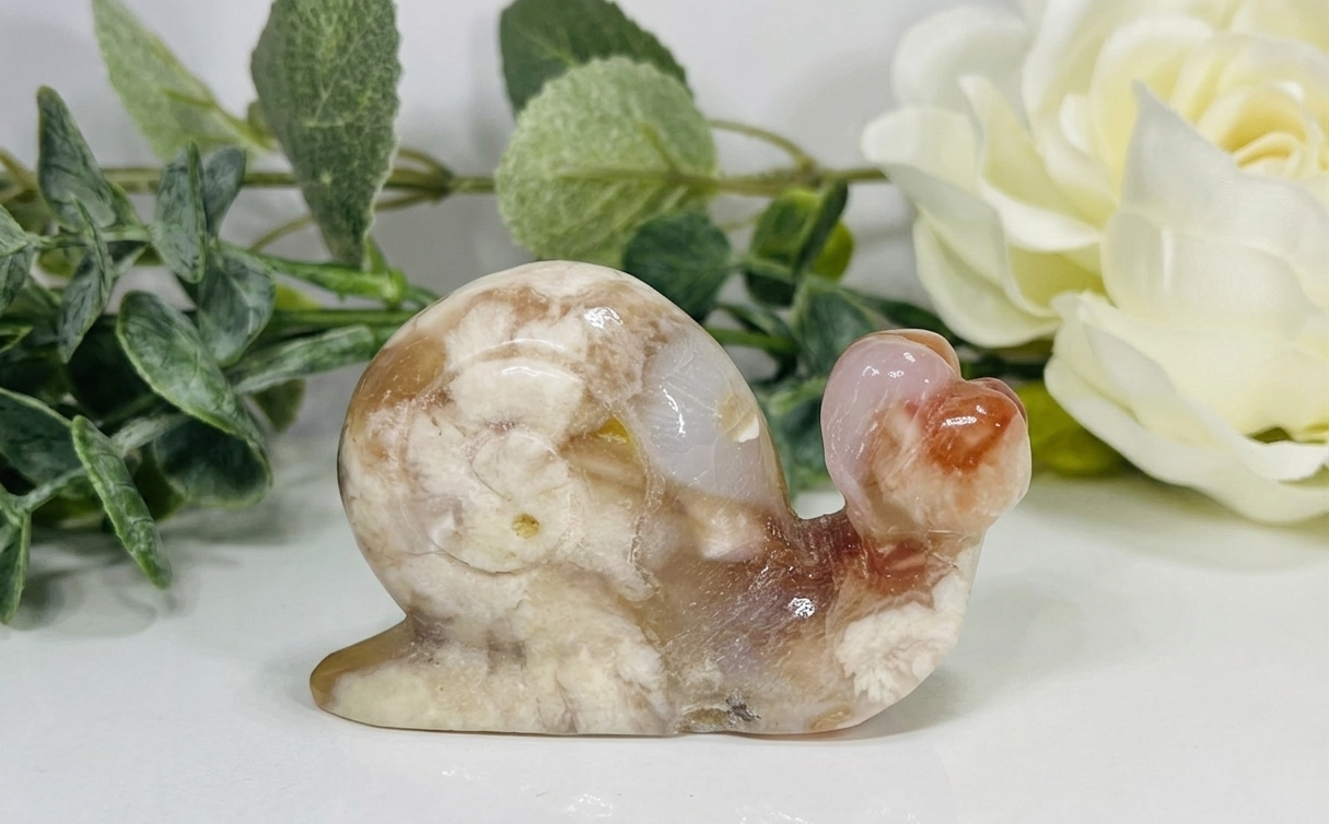 Flower Agate Snail