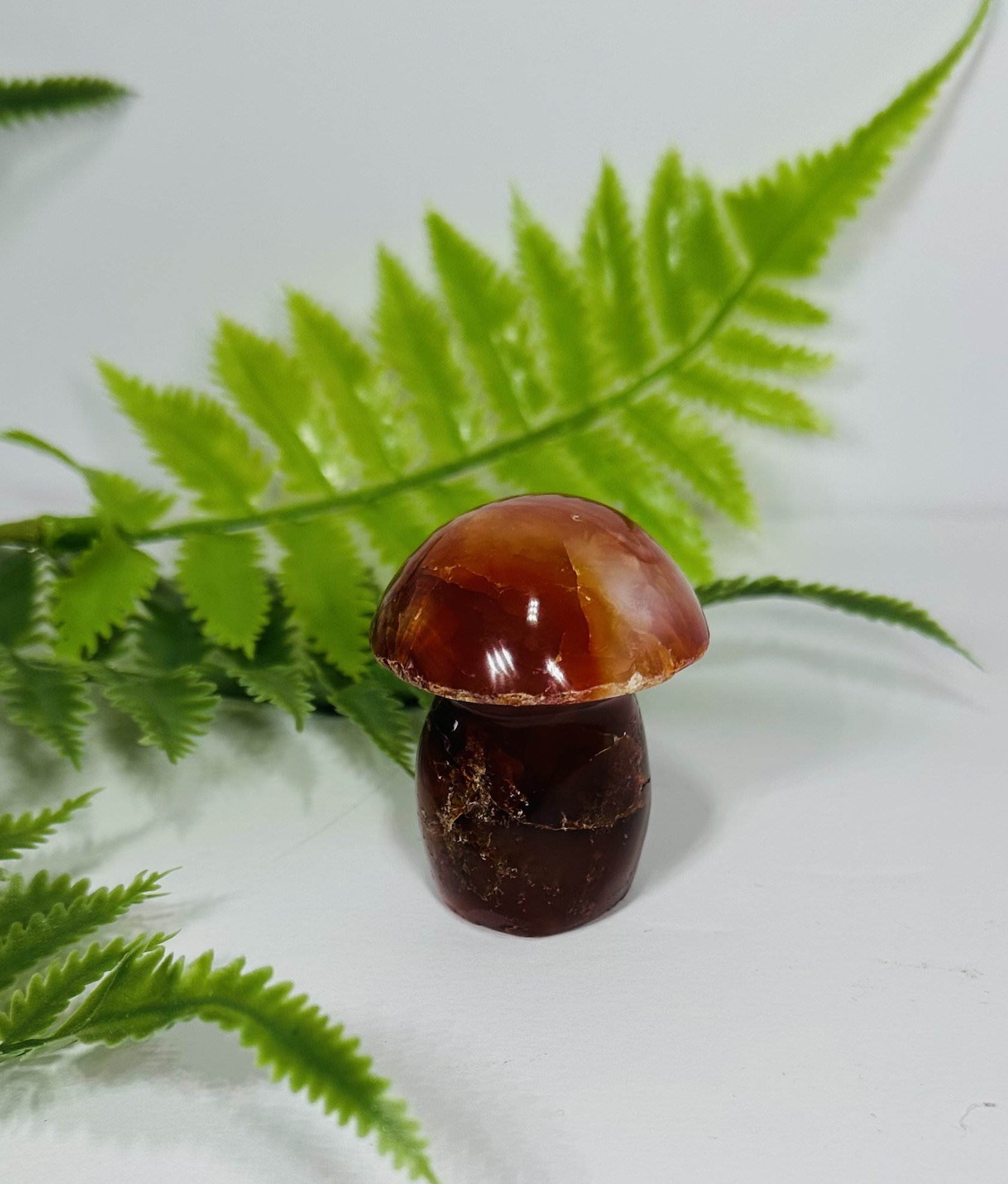 Red Carnelian Mushroom
