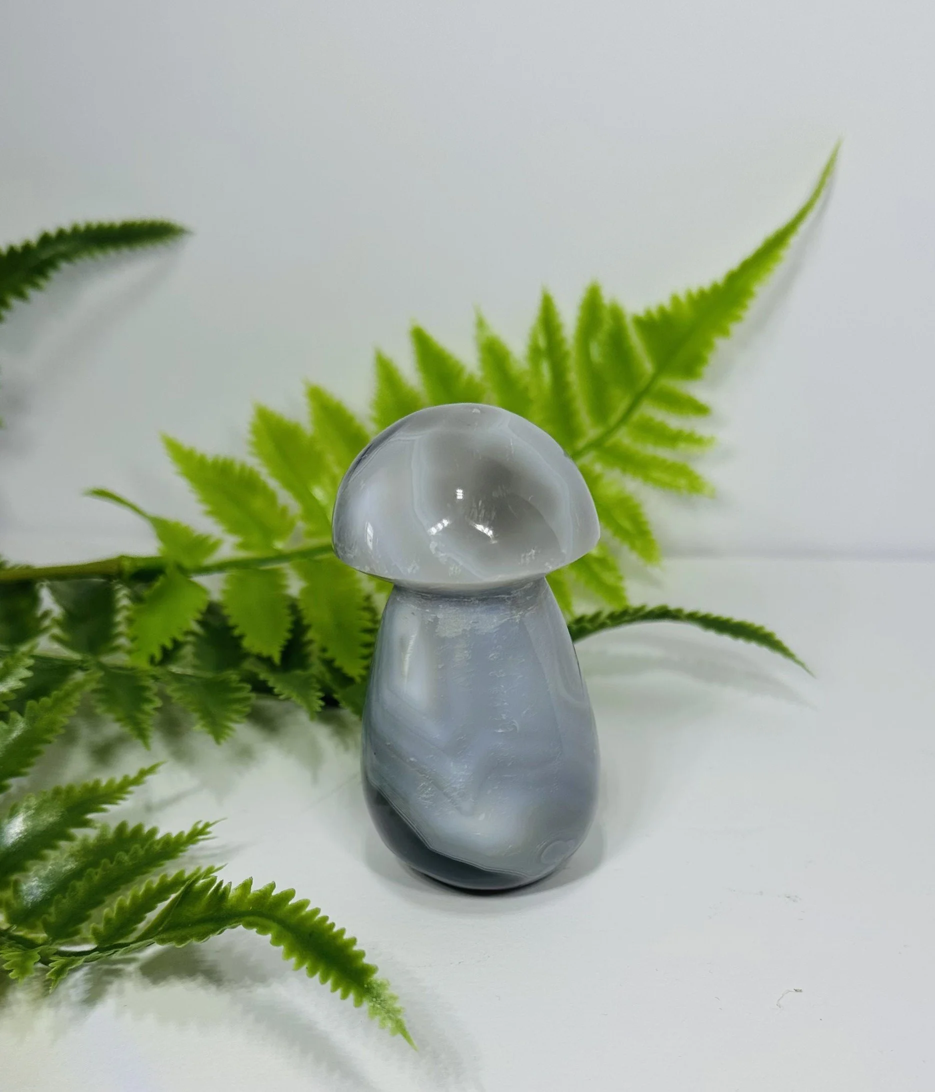Orca Agate Mushroom