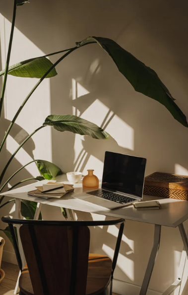 Home office desk with an open laptop, books, a small vase, and a decorative box, illuminated by natural sunlight and nearby large plant leaves.