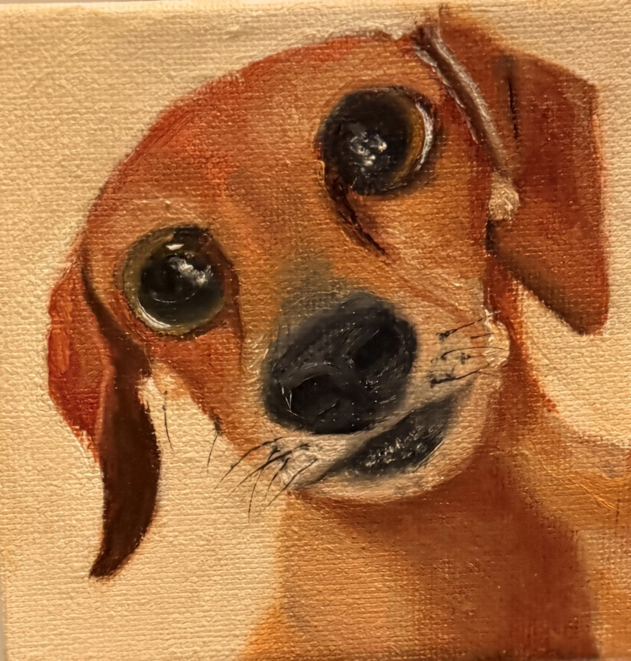 dog gretel.jpg
