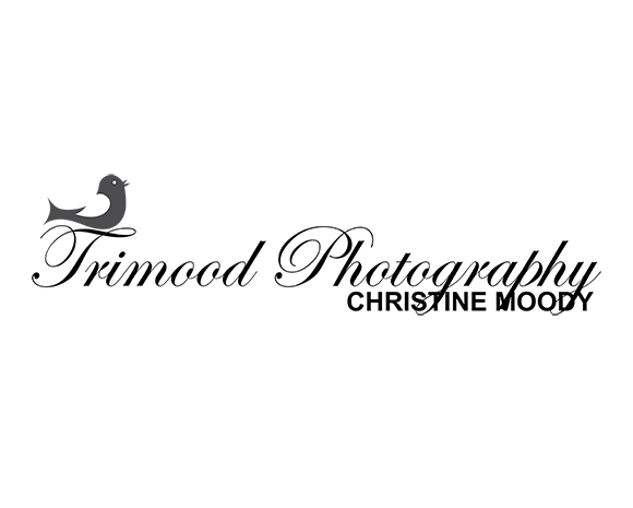 A black silhouette of a bird perched on a branch facing left, with a small bird icon near the top left.