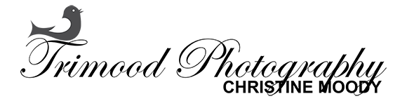 A simple graphic of a bird sitting on the ground.