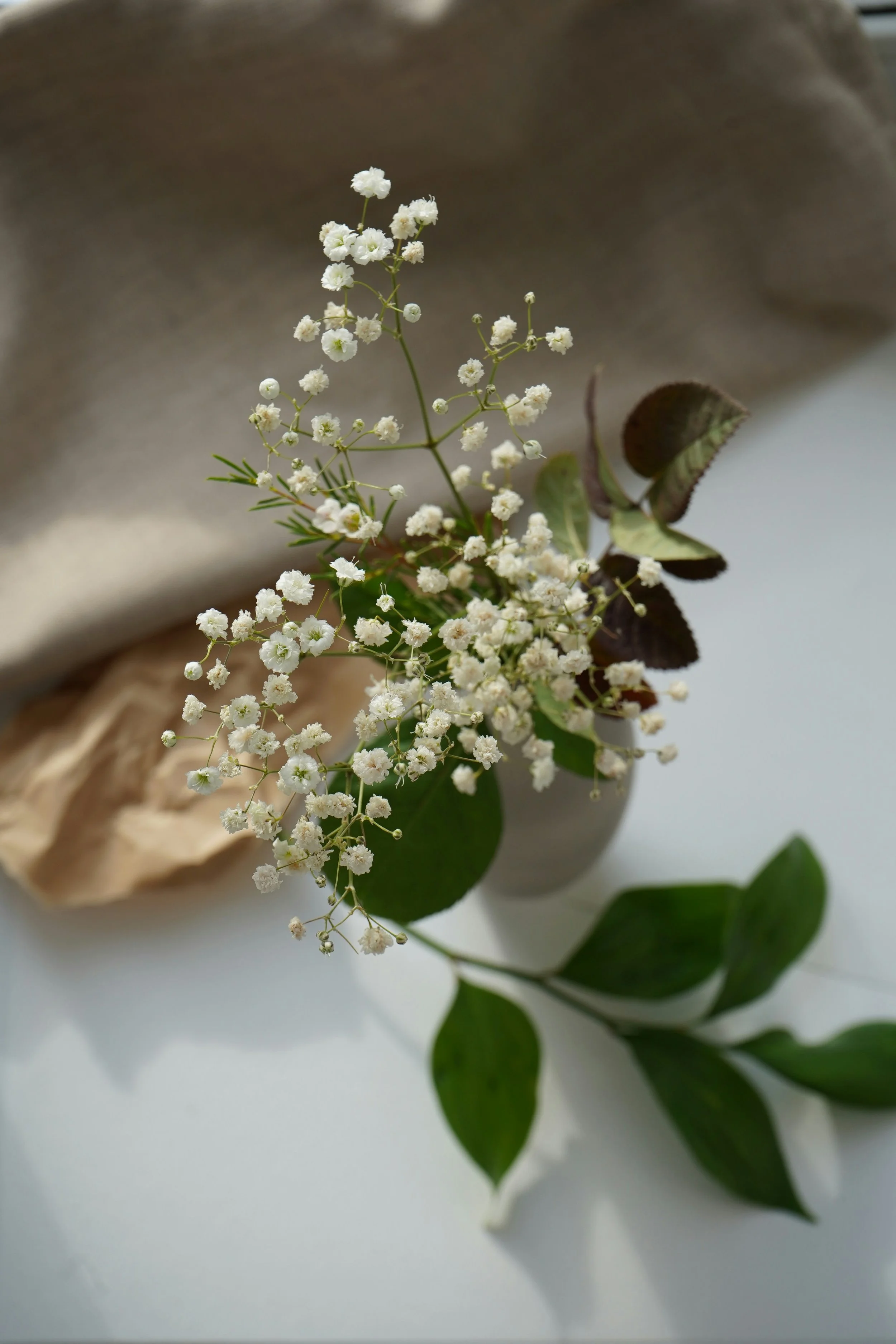 A small white flower arrangement with green leaves, placed in a white cup. In the background, a beige-colored skull with a partial jawbone is visible.