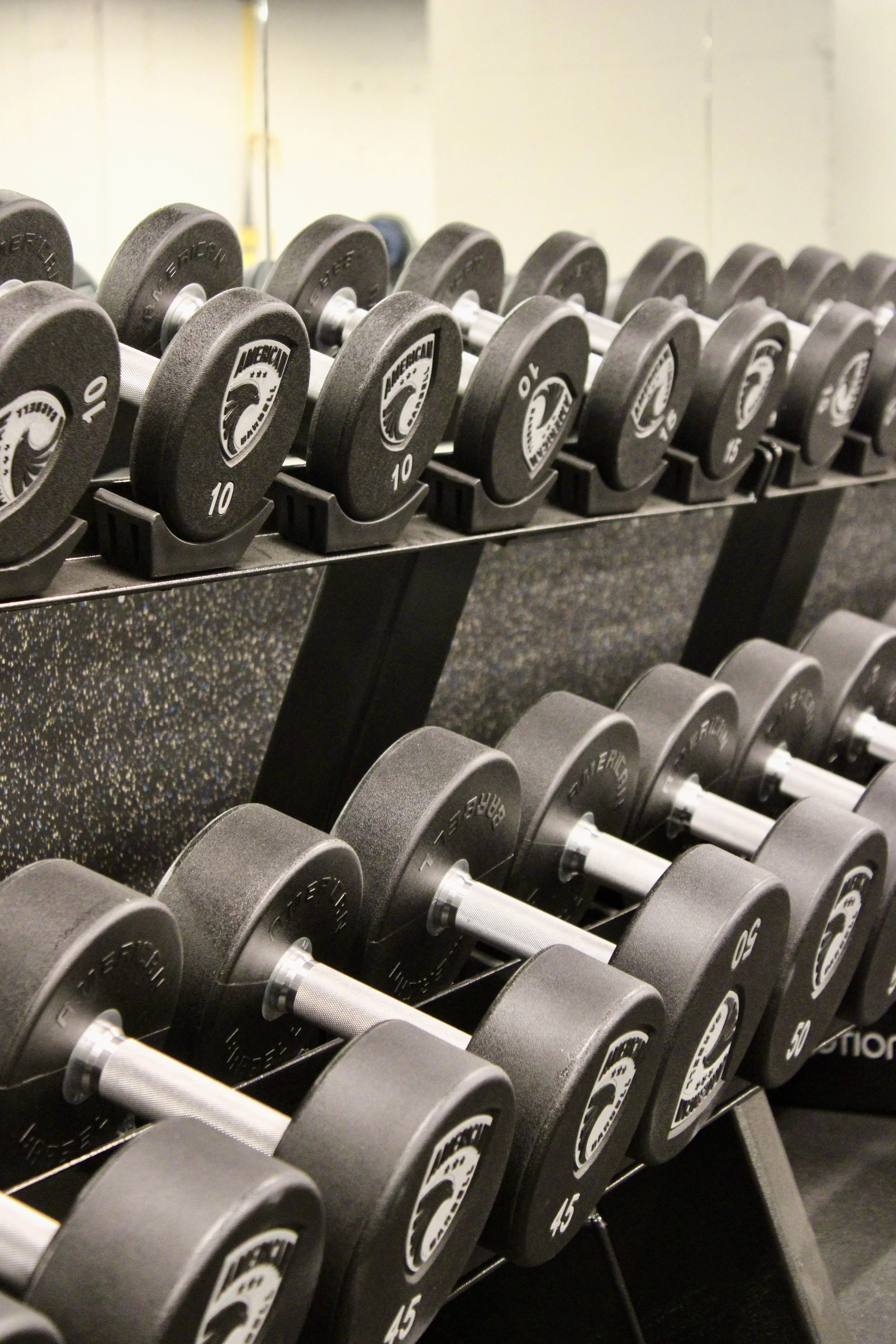 Row of black dumbbells with silver handles on a black rack at the gym.