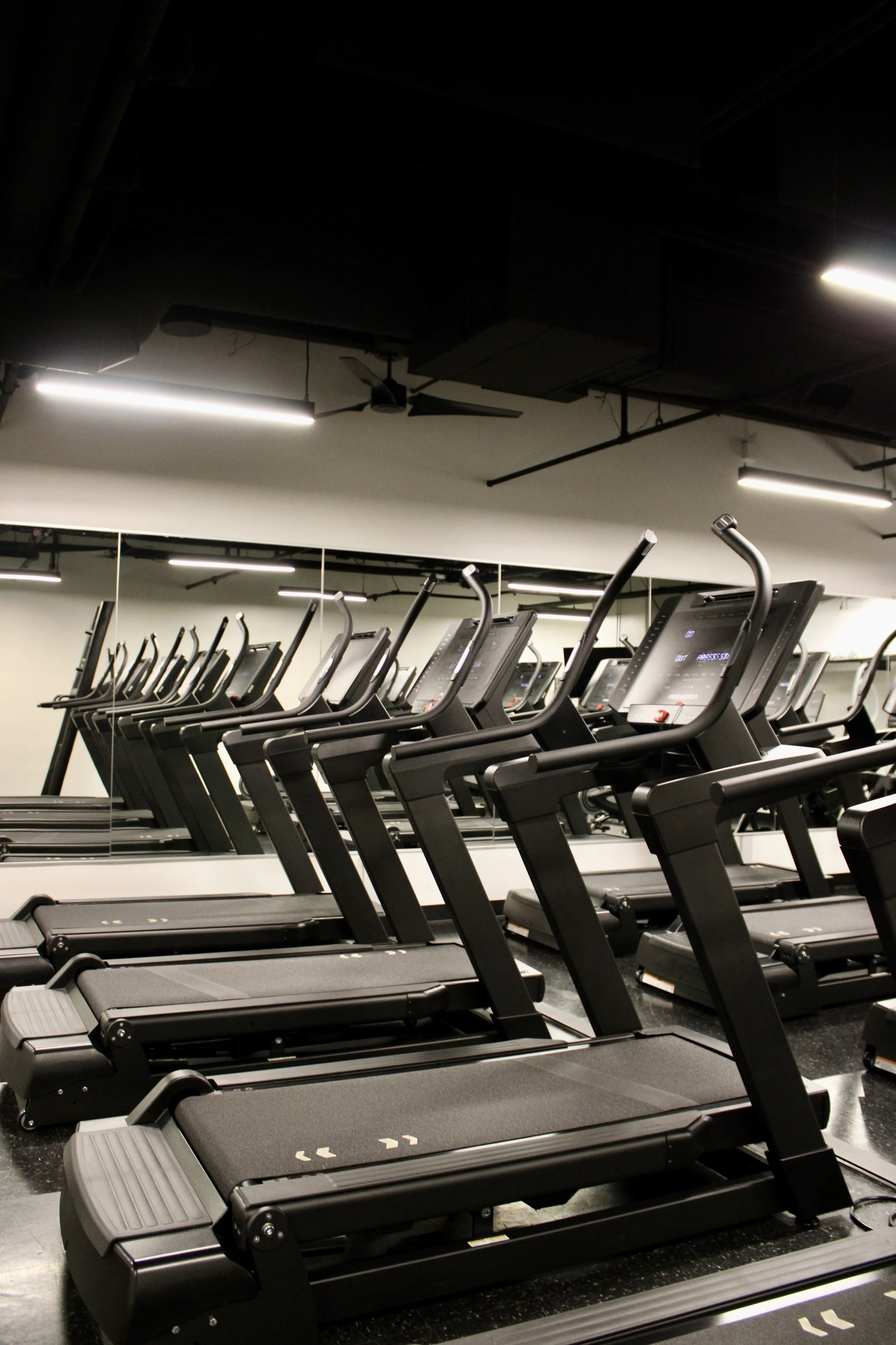 Row of black treadmills in a gym, with mirror and ceiling fans overhead.