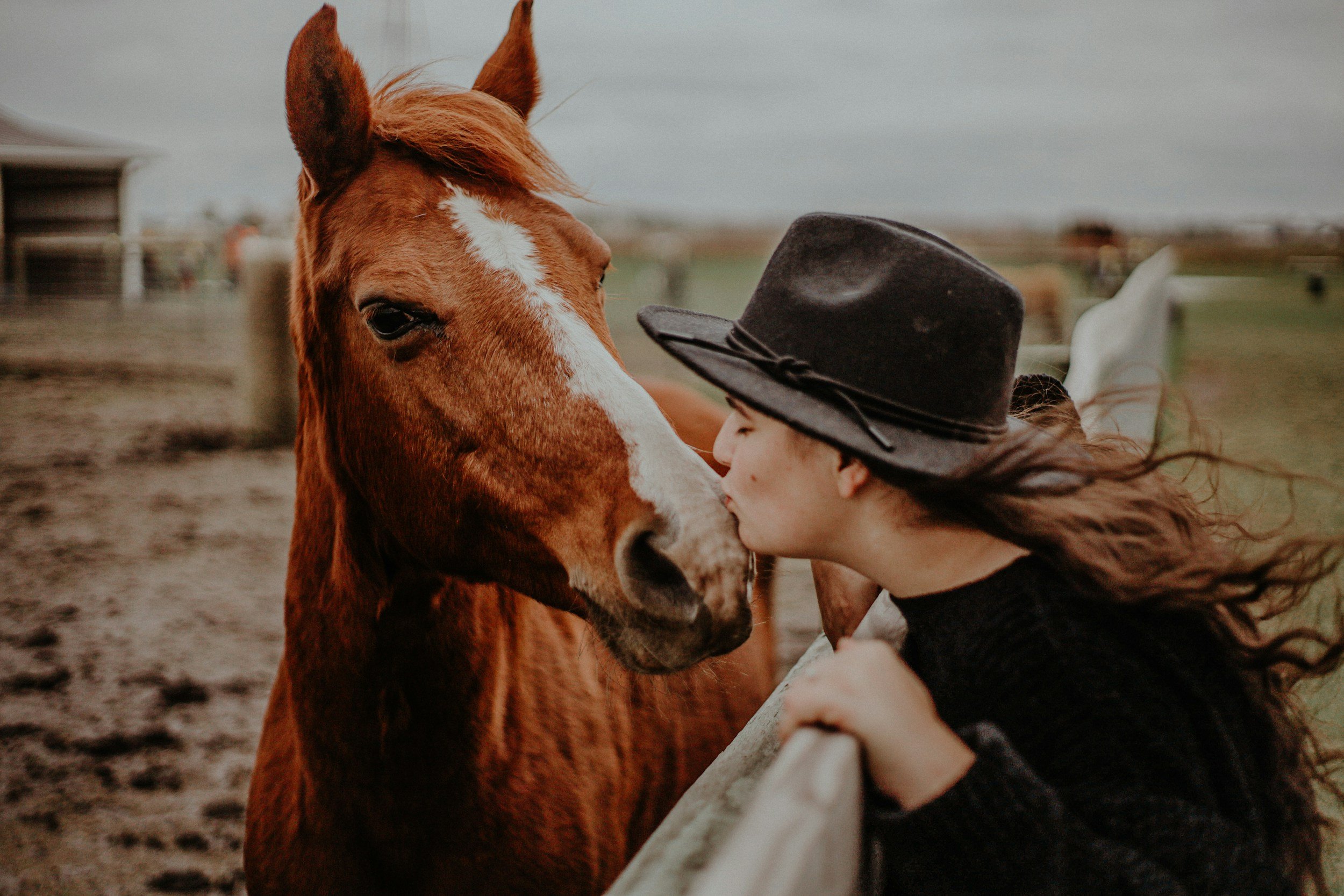 A person with long hair and a black hat gently touching the face of a brown horse with a white stripe on its face, in an outdoor setting with blurred fences in the background.