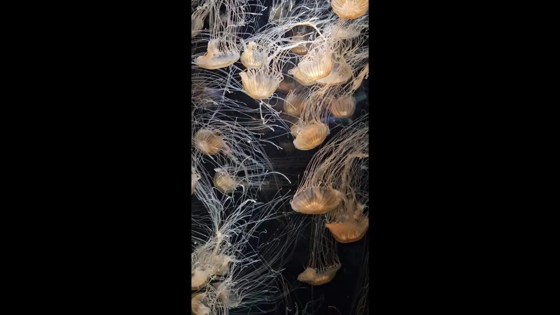 Get Clear on Connection