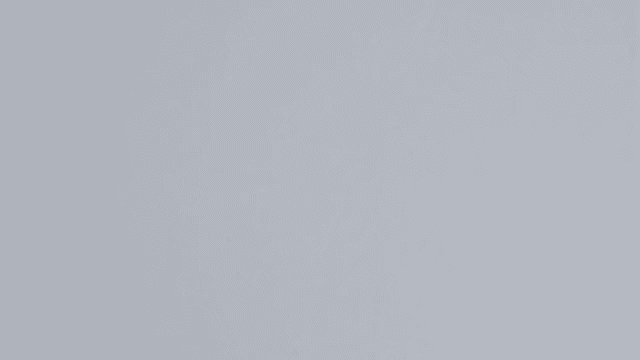 Tiffany_Cropped_1-low.gif