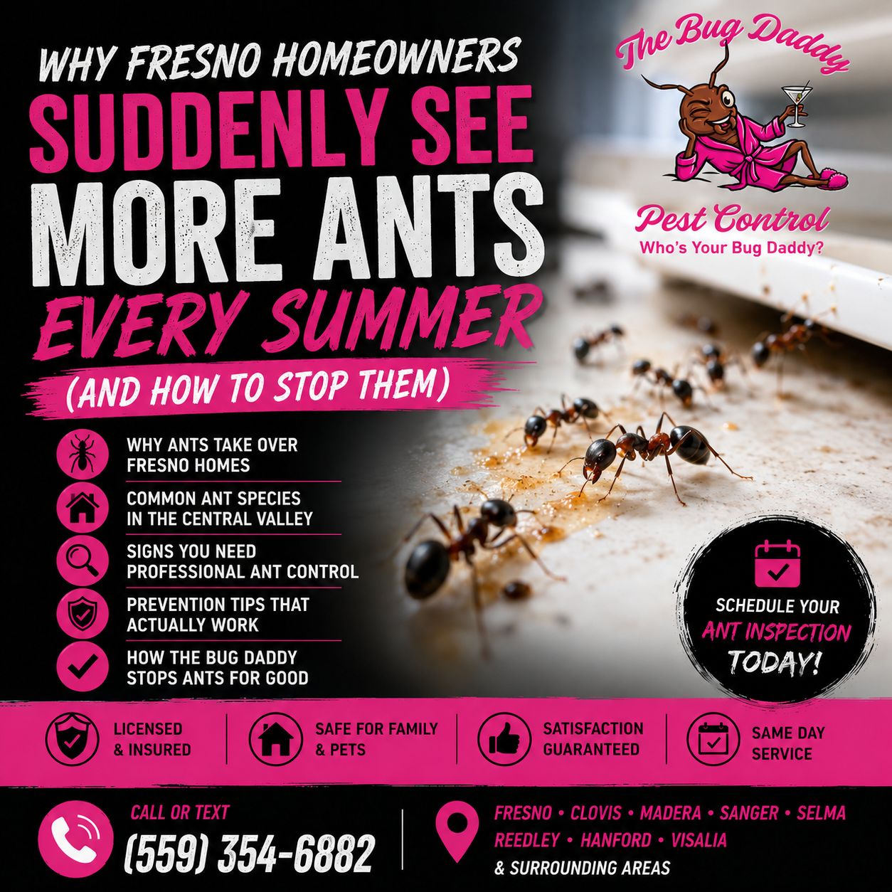 Why Fresno Homeowners Suddenly See More Ants Every Summer (And How to Stop Them)