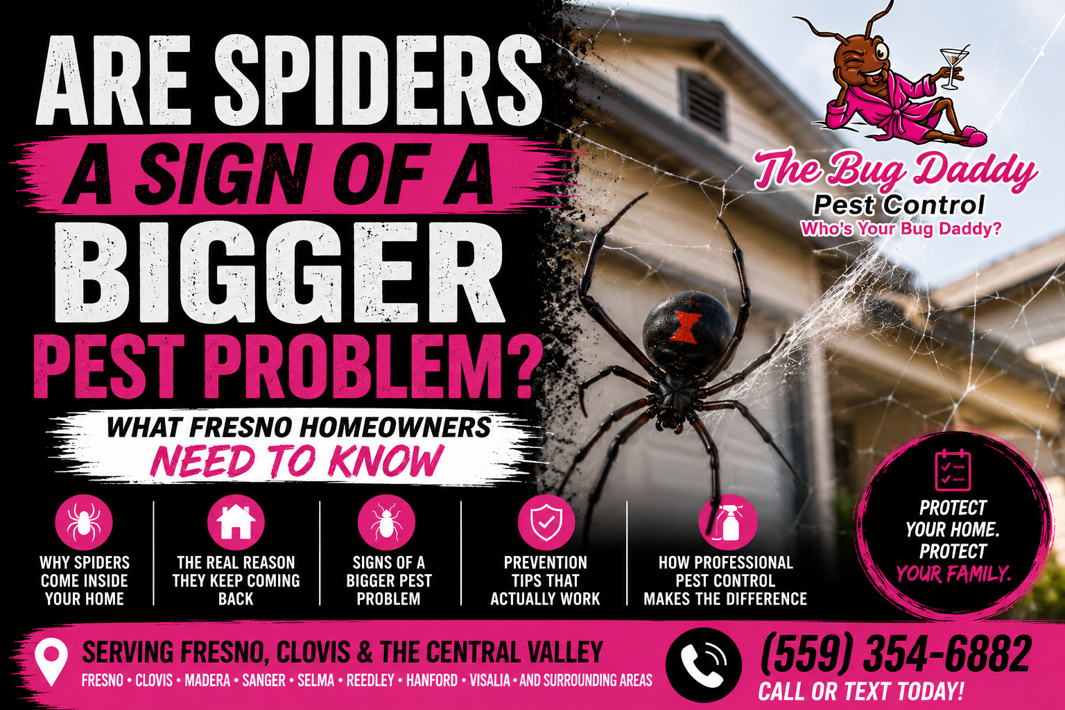 Are Spiders A Sign Of A Bigger Pest Problem?