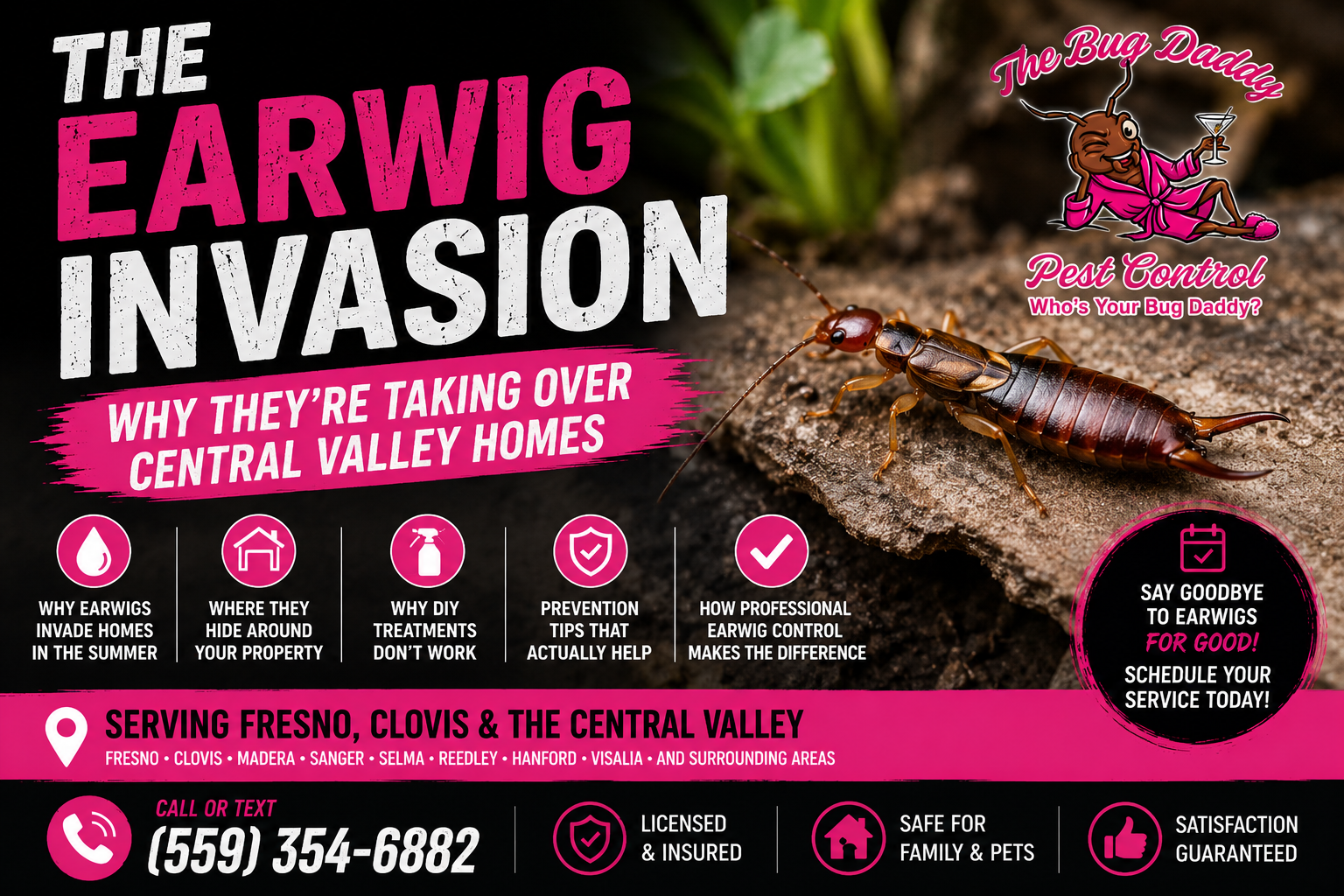 The Earwig Invasion: Why They're Taking Over Central Valley Homes