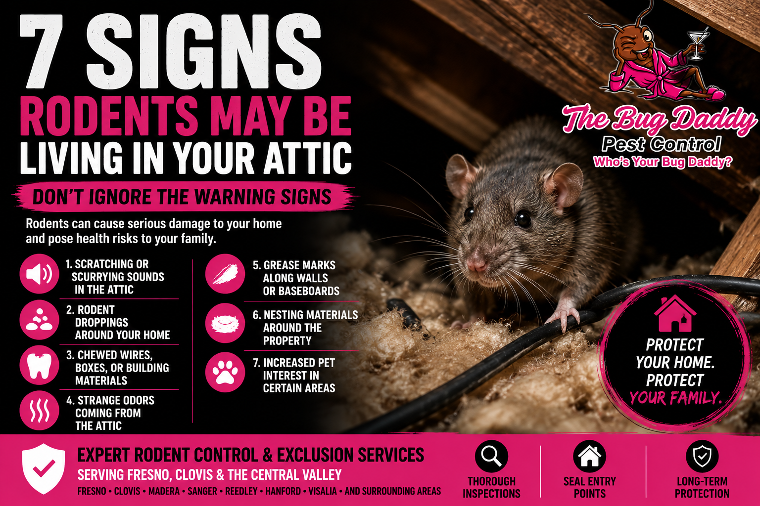 7 Signs Rodents May Be Living In Your Attic (And Why You Shouldn't Ignore Them)