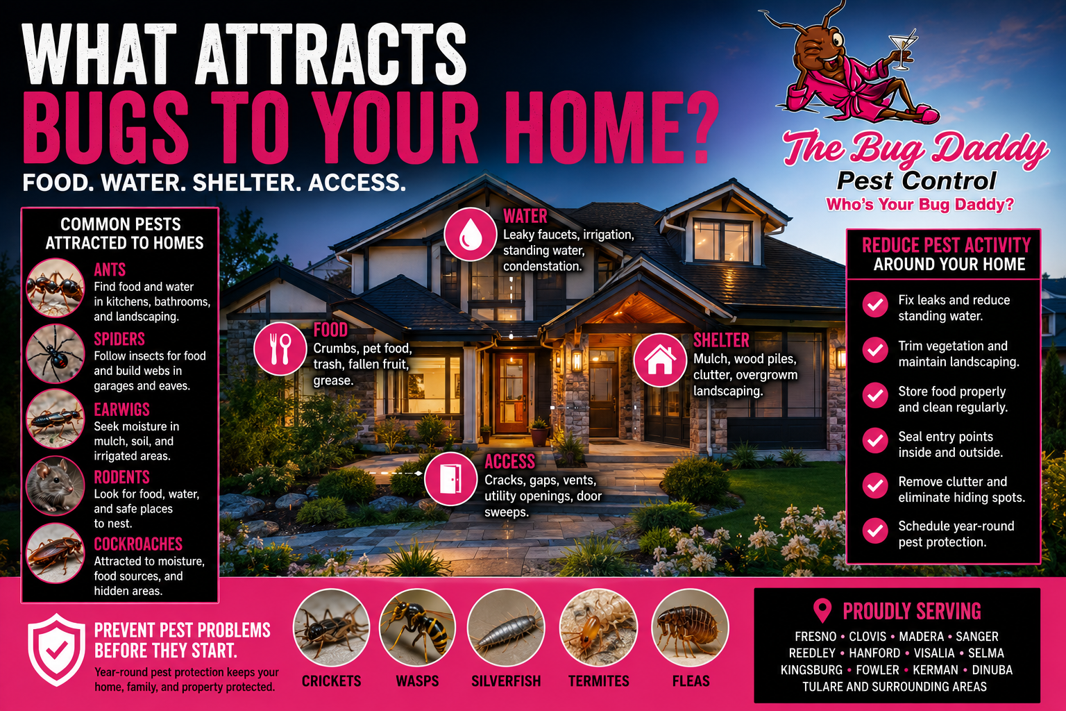 What Attracts Bugs to Your Home?