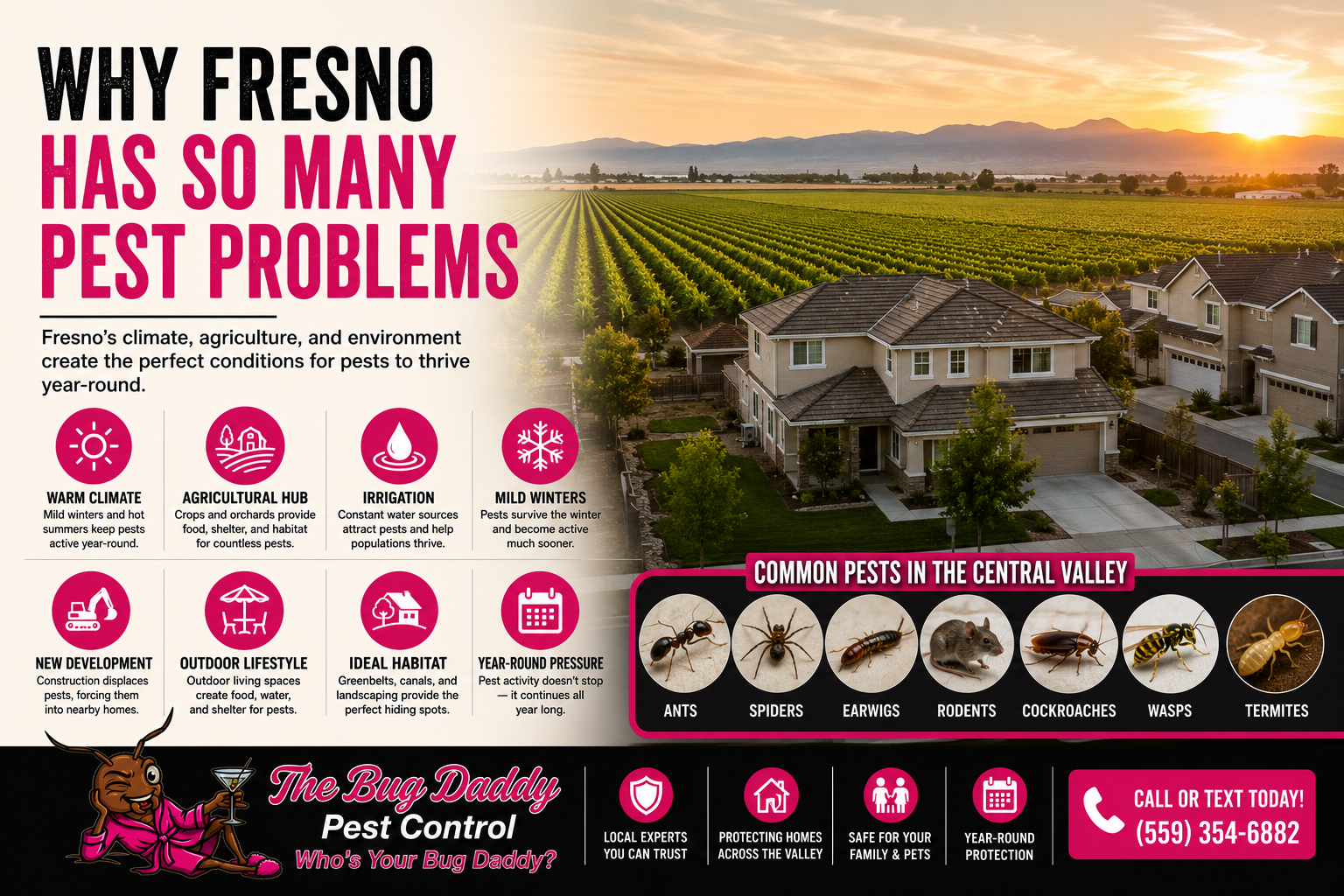 Why Fresno Has So Many Pest Problems