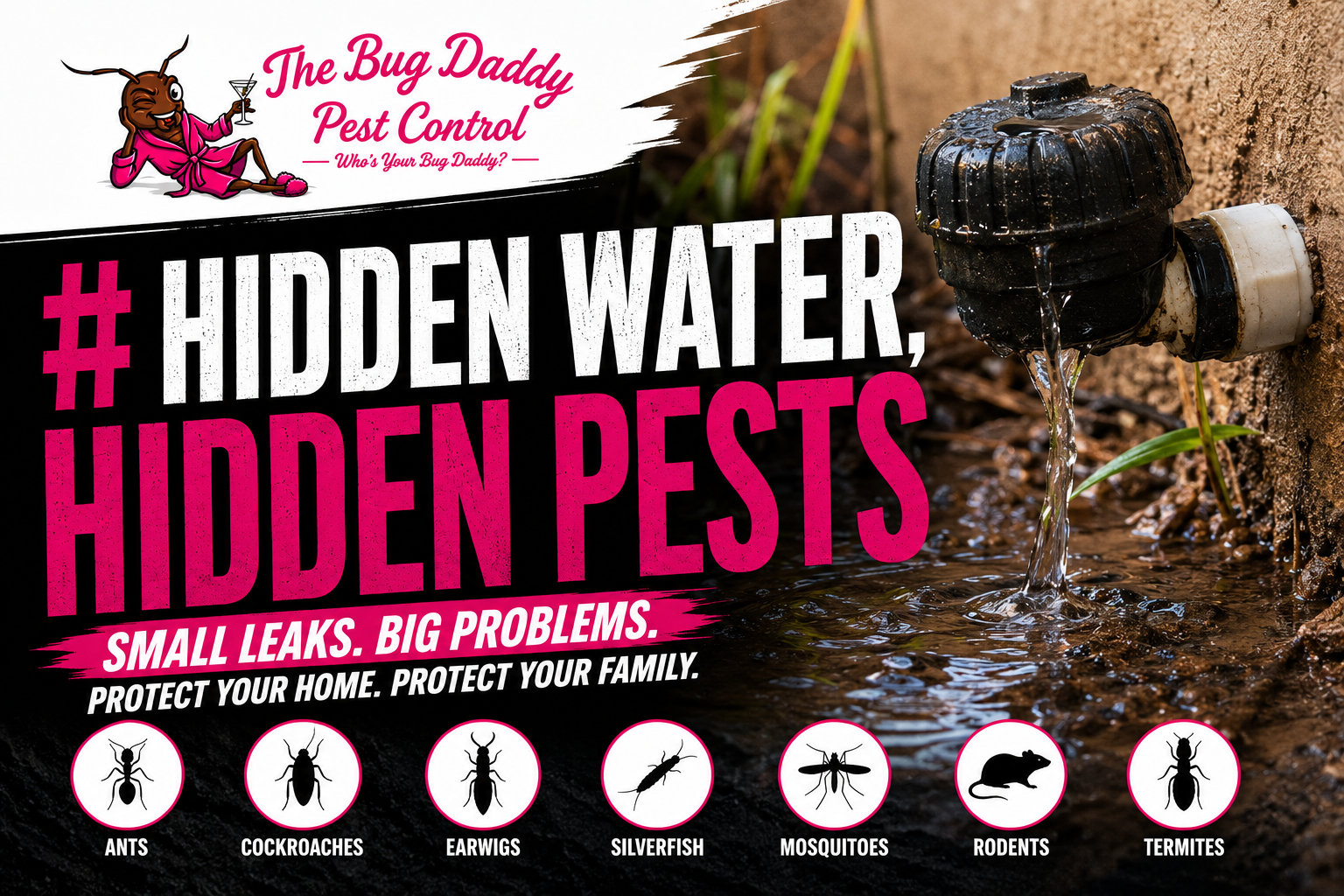 Hidden Water, Hidden Pests