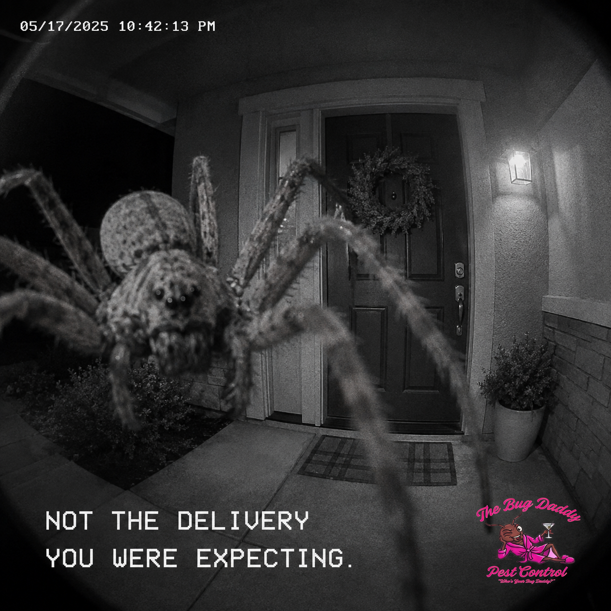 Spider At Your Door? There's A Reason.