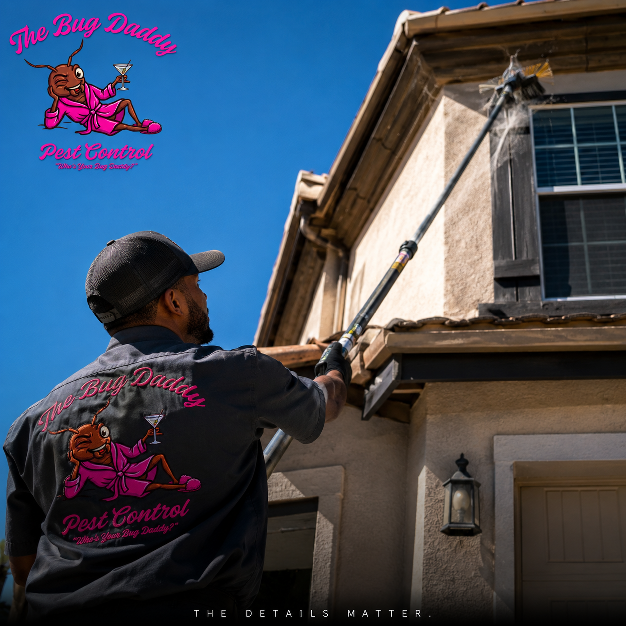 What Pest Inspections Find
