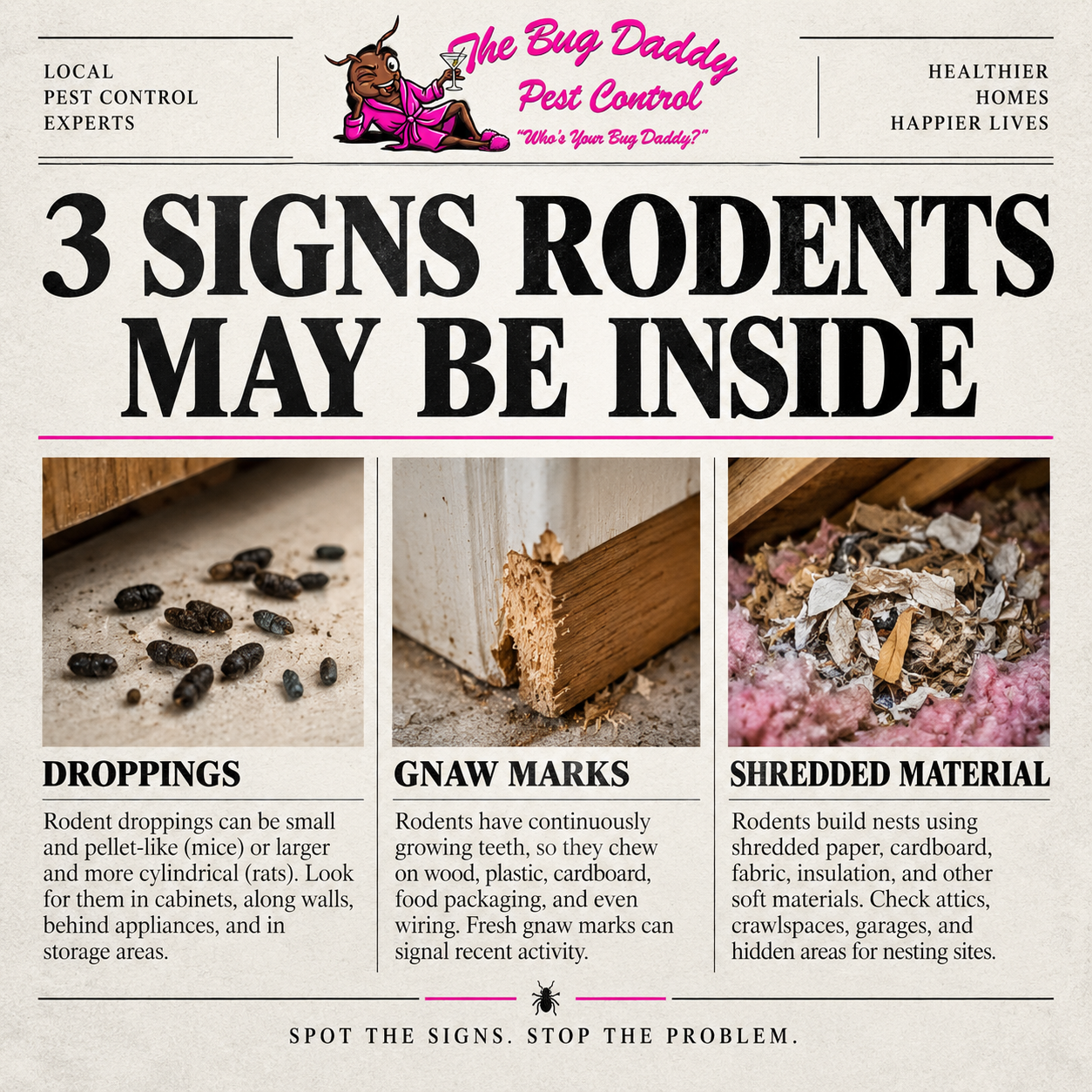 Signs Of Rodents Inside
