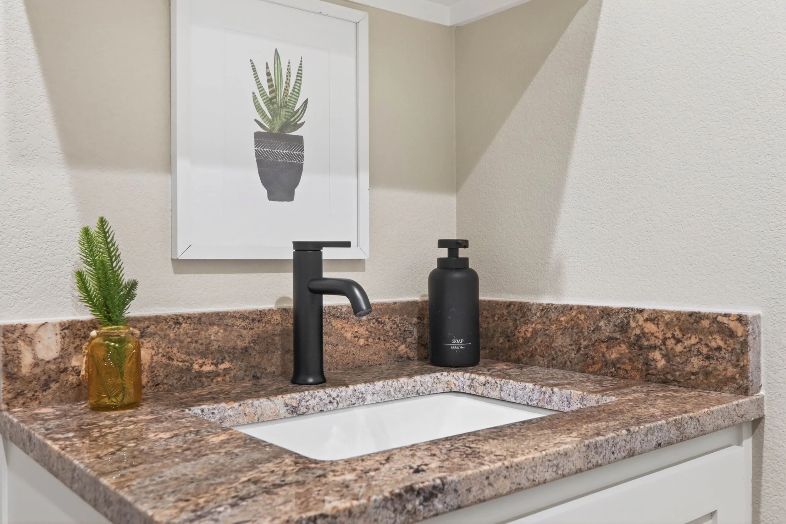 A bathroom countertop with a black faucet, a soap dispenser, a small green plant in a brown jar, and a framed plant print on the wall.
