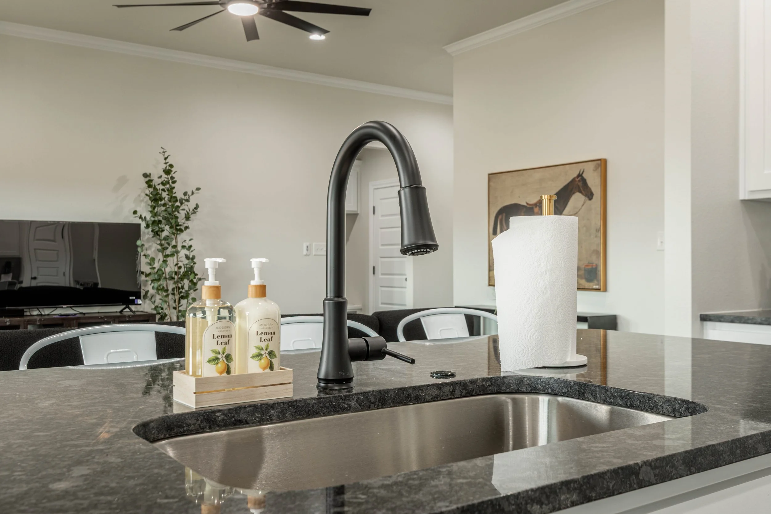 A kitchen countertop with a black faucet, a paper towel roll, and two bottles of lemon leaf liquid soap in a wooden holder. In the background, part of a living room with a plant, a television, a framed picture of a horse, and a ceiling fan.