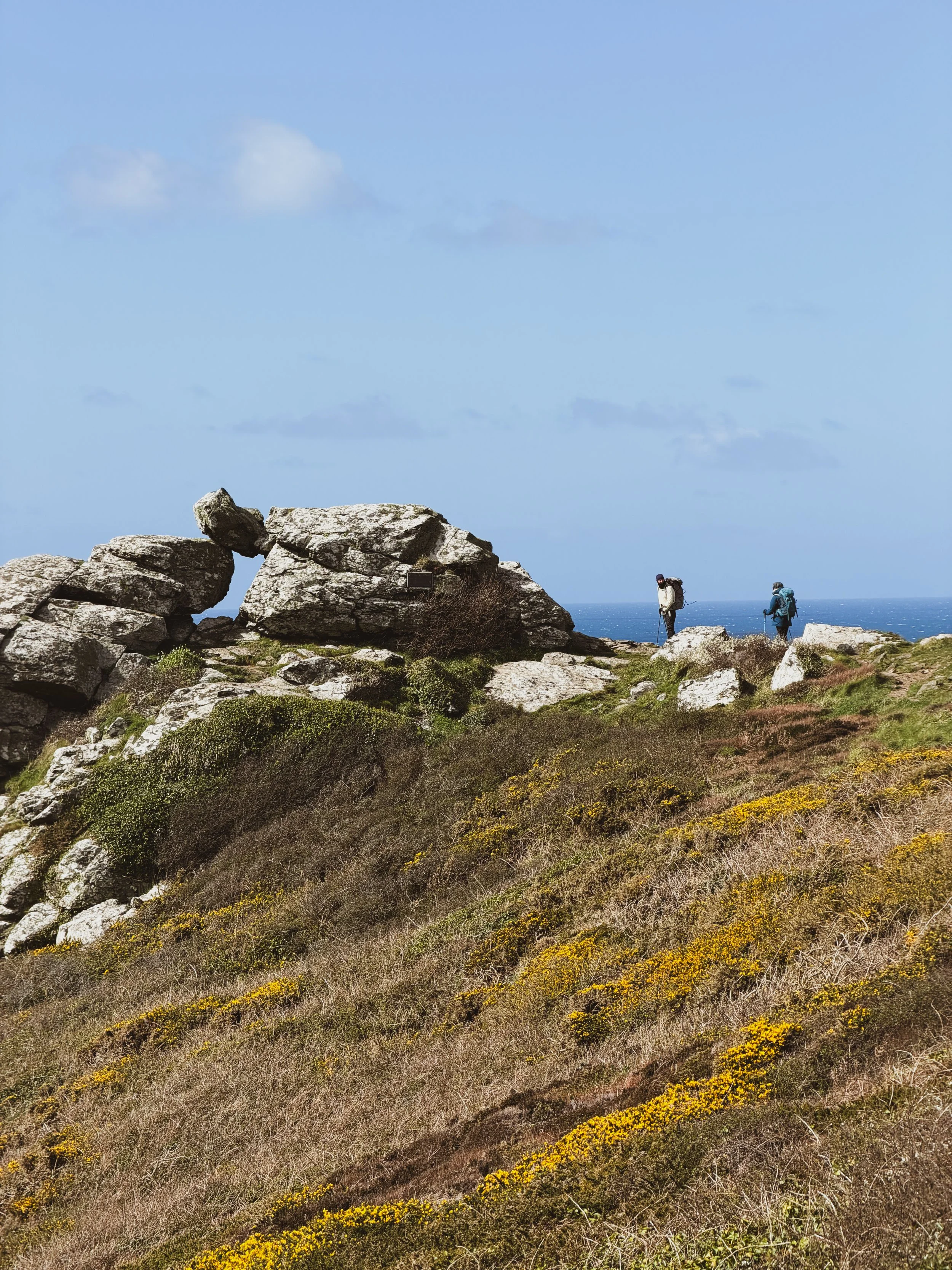 Two hikers walking along a rocky trail on a hillside with yellow flowers and green bushes, with large rocks in the foreground, a blue sky, and the ocean in the distance.