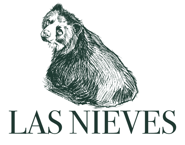 Logo: Las Nieves