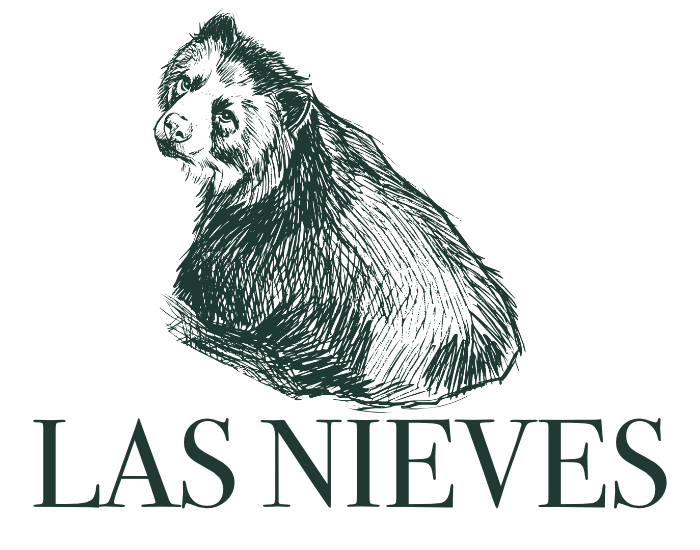 LOGO: Las Nieves