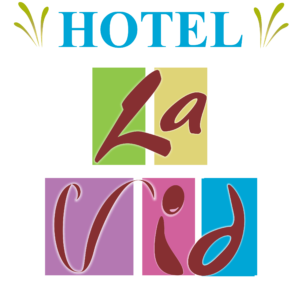 LOGO: Hotel La Vid