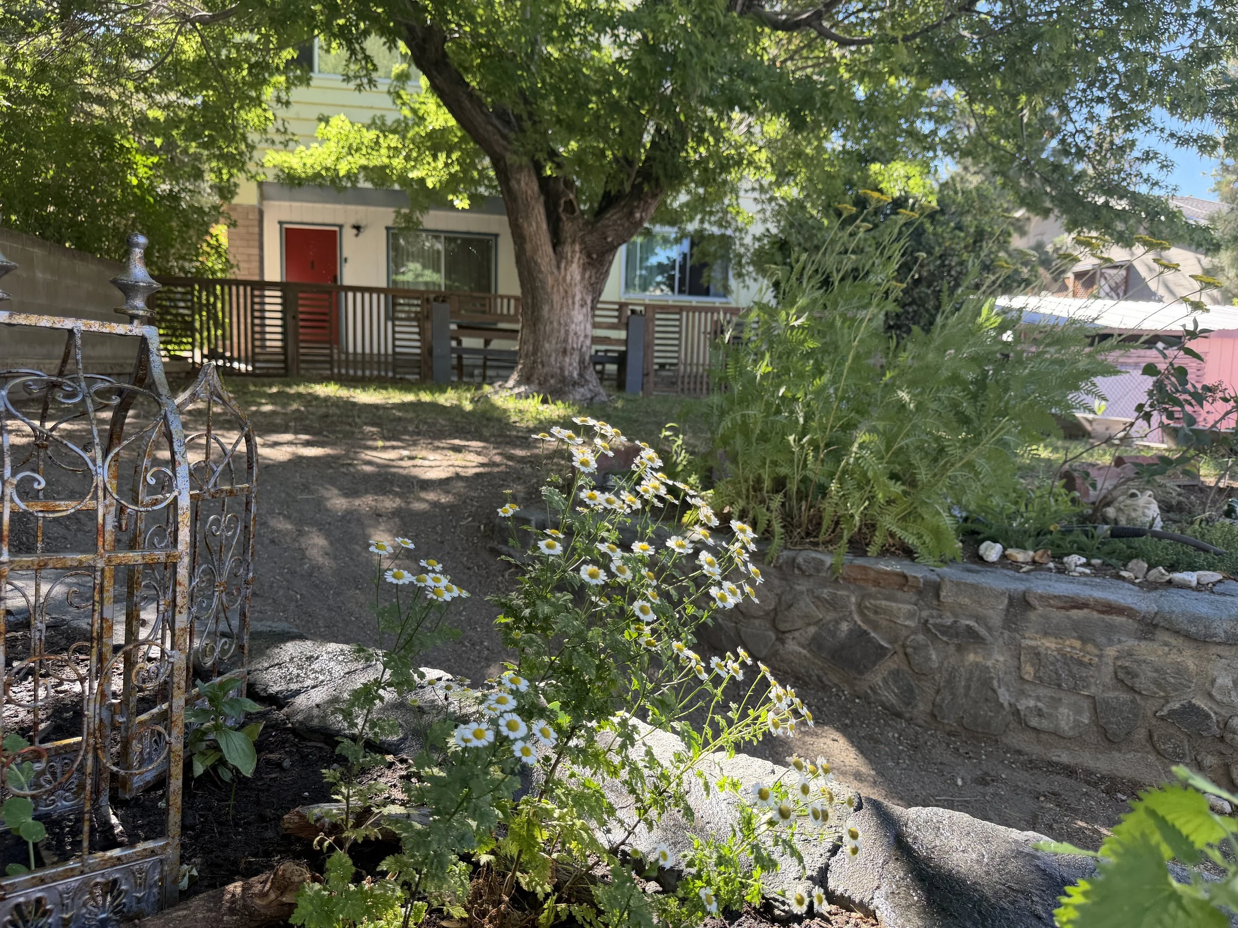 Yoga In The Garden 