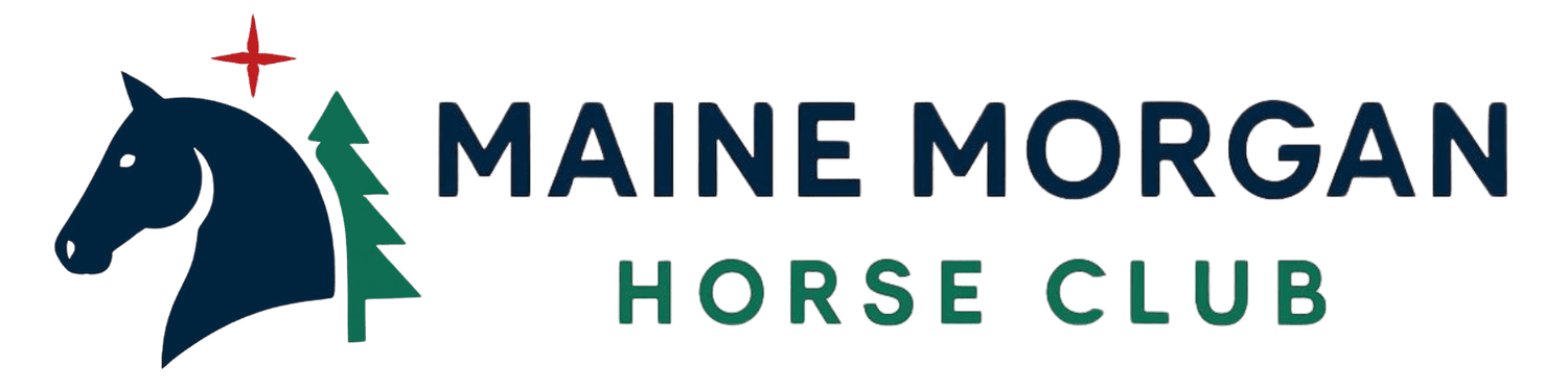 Maine Morgan Horse Club