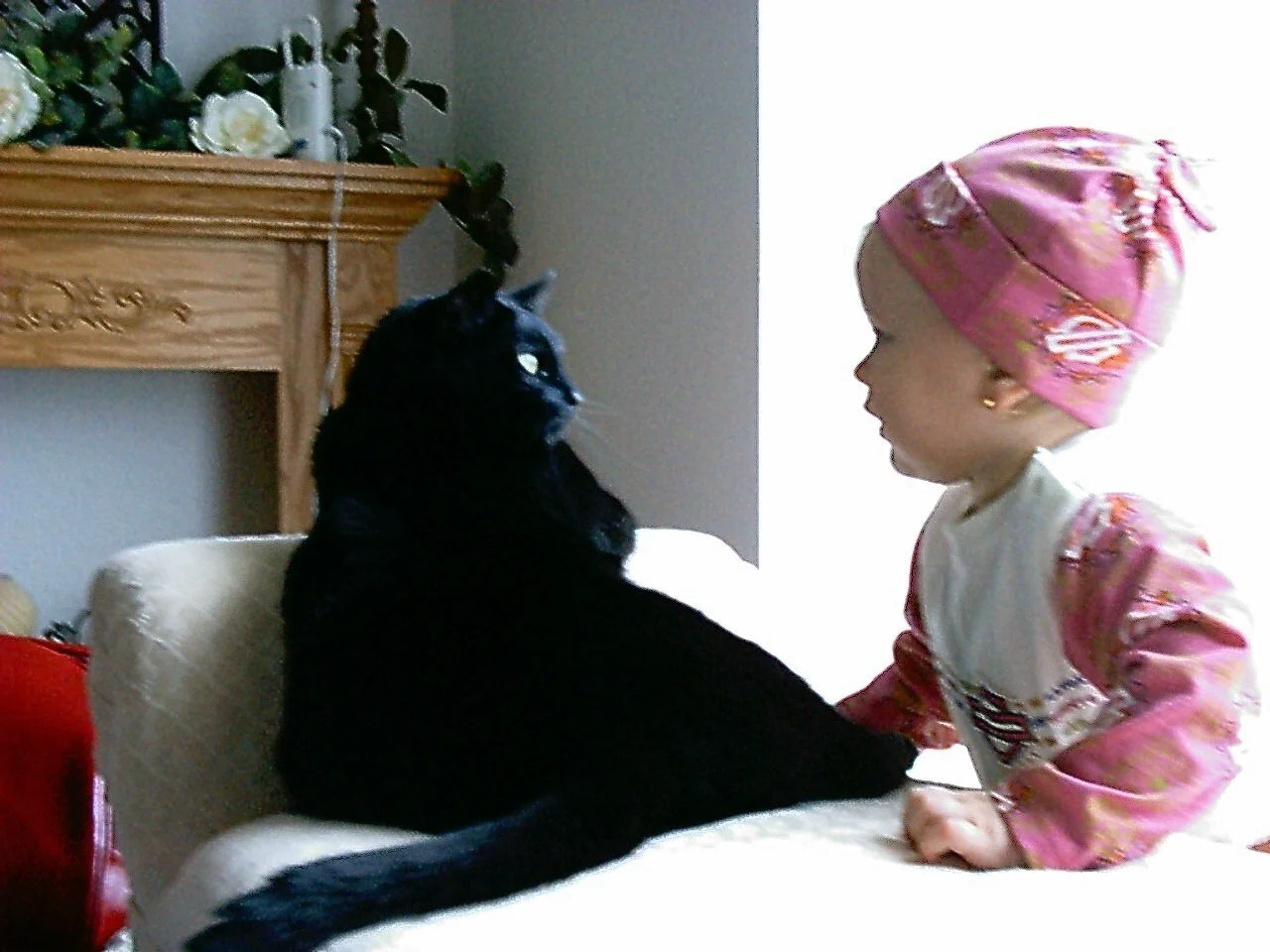 A young girl wearing pink pajamas and a pink hat sitting on a bed across from a black cat.