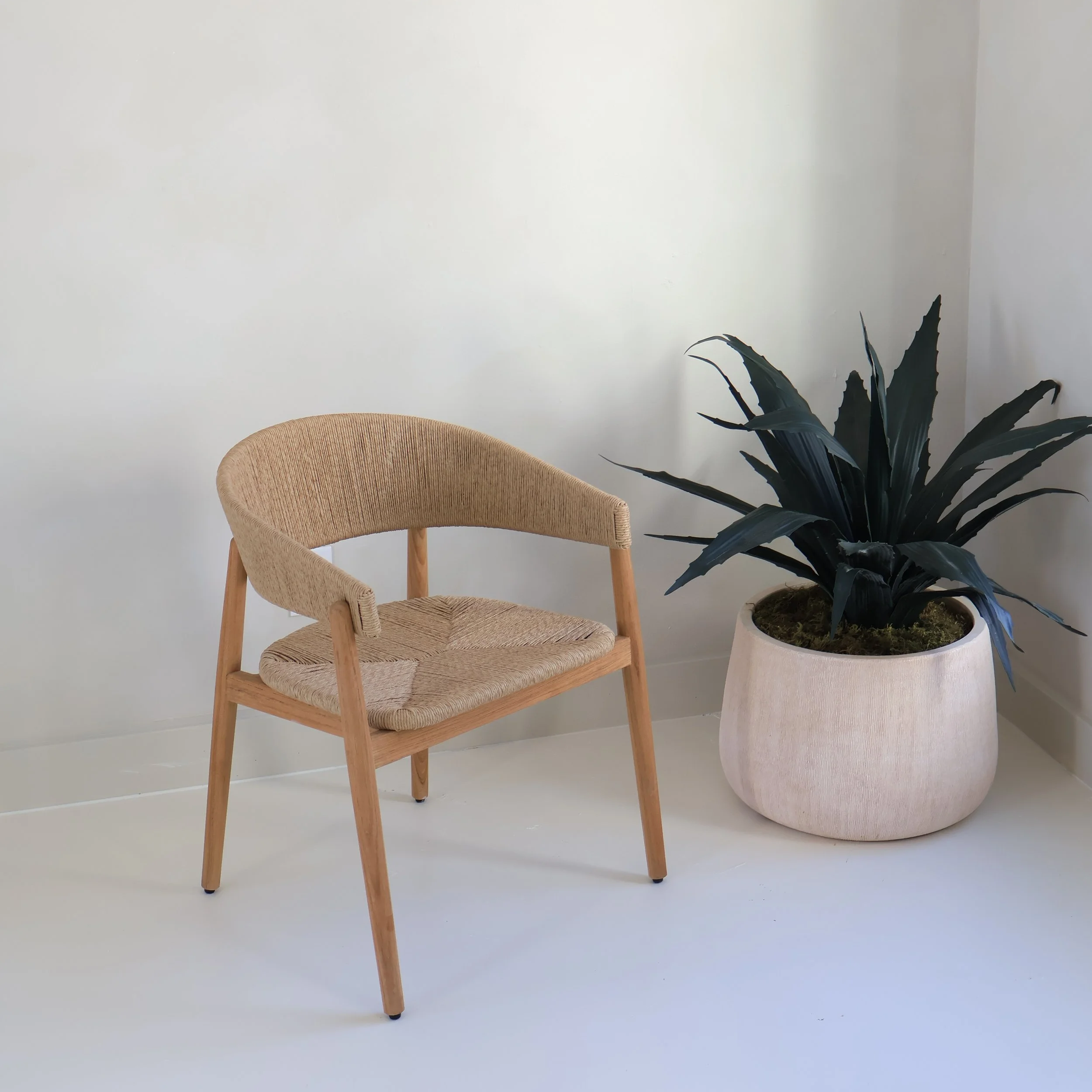 A beige woven chair with wooden legs next to a large potted plant with dark green, pointy leaves in a white textured pot, set against a plain white wall.
