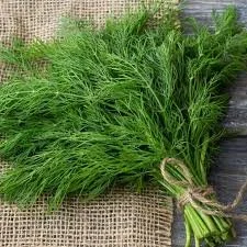Dill