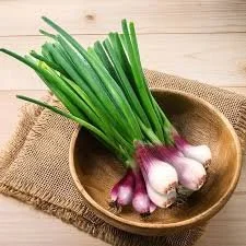 spring onion.jpg