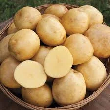 yukon gold.jpg