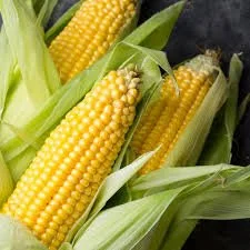 corn.jpg